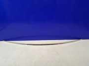 Kofferraumverkleidung MERCEDES-BENZ S (W221) S 300 (221.054) A2217580046