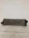 Ladeluftkühler OPEL VIVARO Furgon (F7) 2.0 CDTI 8200411160C