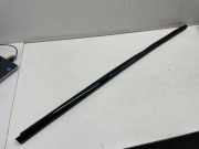 Türfensterleiste hinten rechts BMW X7 (G07) xDrive 30 d 7444106