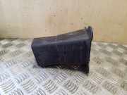 Halter für Pralldämpfer Citroen C4 II Grand Picasso () 9676575880