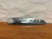 Armaturenbrett Verkleidung BMW X6 (F16, F86) xDrive 40 d 51767347516