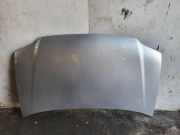 Motorhaube VW TOURAN (1T1, 1T2) 1.9 TDI