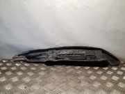 Schutzleiste Kotflügel Chrysler 300 C Touring (LX, LE)