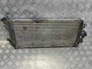 Ladeluftkühler Dodge Caliber () 16454