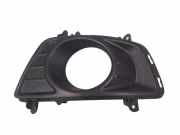 Blende Nebelscheinwerfer Kia Carens II (FJ) 865151D050