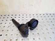 Riemenspanner BMW X5 (E70) 3.0 sd