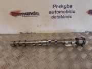 Nockenwelle IVECO DAILY VI Furgon 35S17, 35C17, 40C17, 50C17, 55C17, 65C17, 70C17 130143893