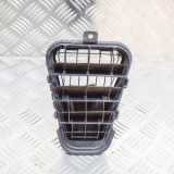 Ziergitter Audi A6 (4G, C7) 4G5819161