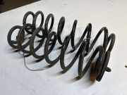 Federblatt links hinten VW Jetta IV (162, 163, AV3, AV2)