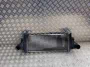 Ladeluftkühler Mercedes-Benz M-Klasse (W164) A2515000000