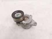 Riemenspanner NISSAN PATHFINDER III (R51) 2.5 dCi 4WD 156008X