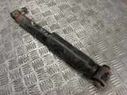 Stoßdämpfer rechts hinten Renault Grand Scenic II (JM)