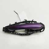 Türaußengriff hinten rechts BMW 8 Gran Coupe (G16, F93) 840i 9881776