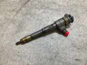 Düsenstöcke Renault Clio III (BR0/1, CR0/1) 8201108033