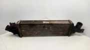 Ladeluftkühler NISSAN PRIMERA Hatchback (P12) 2.2 dCi 14461AW300