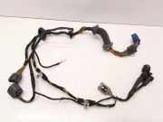 Kabel Tür vorne rechts JAGUAR XJ (X350) 2,7 D 7W9314630 7W9314630SCC