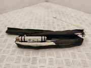 Dach SRS rechts RENAULT MEGANE III Hatchback (BZ0_) 1.6 dCi (BZ00, BZ12) 41623145065