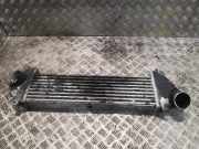 Ladeluftkühler Mercedes-Benz M-Klasse (W163) 1635000600