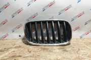 Kühlergrill oben BMW X5 (E70) 7157688