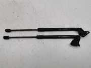 Gasfeder für Motorhaube Opel Antara (L07) 05532220813