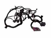 Kabel der vorderen linken Tür AUDI A8 D3 (4E2, 4E8) 4.0 TDI quattro 4E0971663 4E0971035D