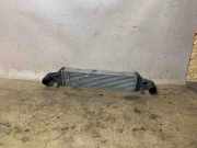 Ladeluftkühler MERCEDES-BENZ E (W212) E 220 CDI / BlueTEC (212.001, 212.002) A2045000200