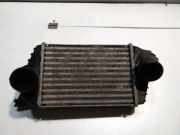 Ladeluftkühler FIAT STILO (192_) 1.9 D Multijet PA66GF30