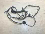 Türverkabelung hinten rechts BMW F40 (F40)118i