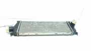 Ladeluftkühler NISSAN PRIMASTAR Furgon (X83) 2.0 dCi 115 992563J