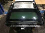 Schiebedach Glas BMW X6 (E71, E72) 7189245