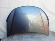 Motorhaube HYUNDAI SANTA FÉ III (DM) 2.2 CRDi