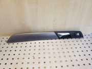 Türverkleidung rechts hinten VW Passat B7 (362) 3AA867450