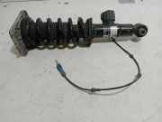 Stoßdämpfer links hinten BMW X5 (G05, F95) 16997810
