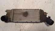 Ladeluftkühler CITROËN C5 II Break (RE_) 2.2 HDi (RE4HXE) 9650613280