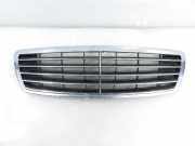 Gitter MERCEDES-BENZ S (W220) S 400 CDI (220.028, 220.128) 2208800583
