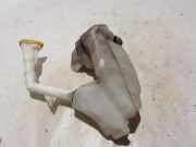 Fensterwaschtank RENAULT LAGUNA III (BT0/1) 1.5 dCi (BT00, BT0A, BT0T, BT1J) 289100003R