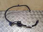 Kabelbaum Ford Focus IV (HN) AV6T14A280AAD