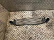 Ladeluftkühler MERCEDES-BENZ SLK (R172) 250 CDI / d (172.403) A2045000200 2045000200