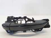 Türgriff links VW Passat B7 (362) 3C8837886