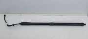 Heckklappe Gasdruckfeder links LAND ROVER RANGE ROVER SPORT II (L494) 2.0 SD4 4x4 CPLA70354BE