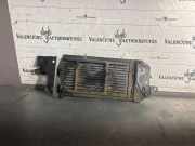 Kraftstoffkühler (Kühler) CITROËN C-CROSSER (EP_) 2.2 HDi 9663278680
