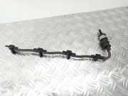 KRAFTSTOFFVERTEILER EINSPRITZLEISTE VERTEILERROHR RENAULT LAGUNA Coupe (DT0/1) 2.0 dCi (DT01, DT09, DT12, DT1D)