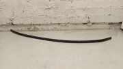 Dachleiste links BMW 3 (G20, G28) 3 (G20) M340 d Mild-Hybrid 7427839