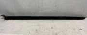 Zierleiste Windschutzscheibe Frontscheibe PEUGEOT 2008 II 1.5 BlueHDI 110 98101119XK
