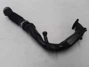 Schlauch für Luftversorgung Dacia Sandero II (SD) 165769779R