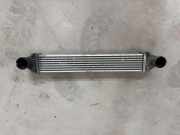 Ladeluftkühler MERCEDES-BENZ B (W245) B 180 CDI (245.207) A1695000000