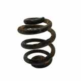 Schraubenfeder hinten links