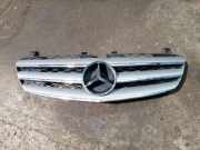 Vorderer oberer Gitter MERCEDES-BENZ R (W251, V251) R 280 CDI 4-matic (251.020) A2518880223 A2518880623