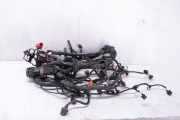 Motor Kabelbaum AUDI A5 (8T3) 3.0 TDI quattro 8K1971072PB