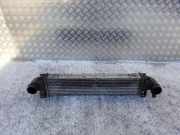 Ladeluftkühler VOLVO XC60 II (246) 2.0 D4 0261230294 31303974